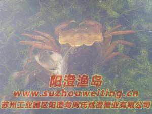 ˮ���ϵ����κ���բз