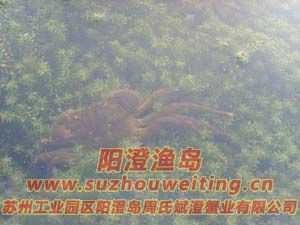 ˮ���ϵ����κ���բз