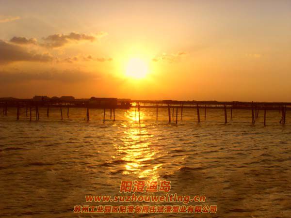 ���κ�����ͼƬʮ��