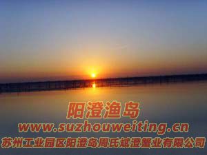 ���κ����糿ͼƬ��