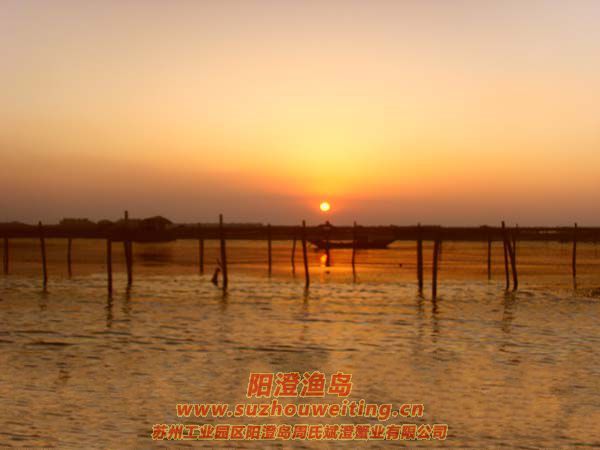 ���κ�����ͼƬʮ��