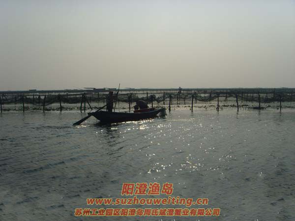 ���κ���æµ������ͼƬ��