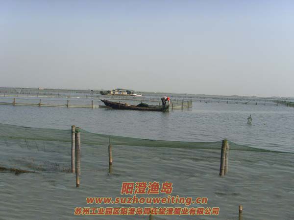 ���κ���æµ������ͼƬ��