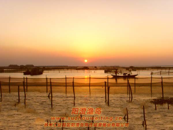 ���κ���æµ������ͼƬ��