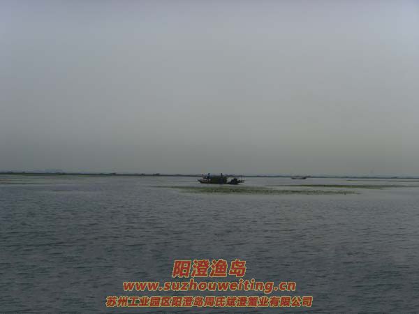 ���κ���æµ������ͼƬʮ