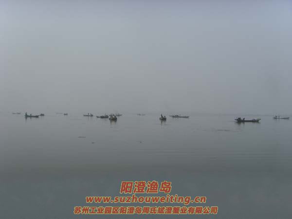 ���κ���æµ������ͼƬʮһ