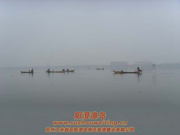 ���κ���æµ������ͼƬ��