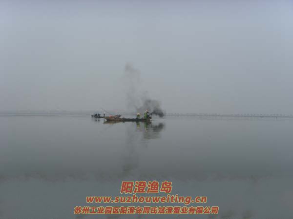 ���κ���æµ������ͼƬ��