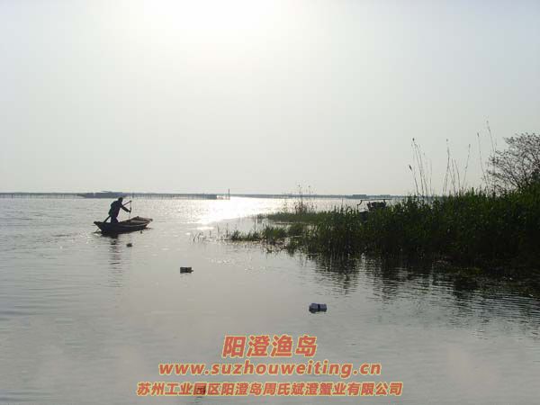 ���κ���æµ������ͼƬʮ��