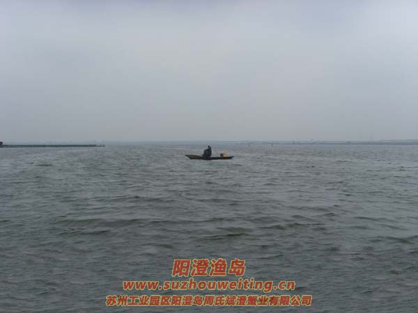 ���κ���æµ������ͼƬʮ��