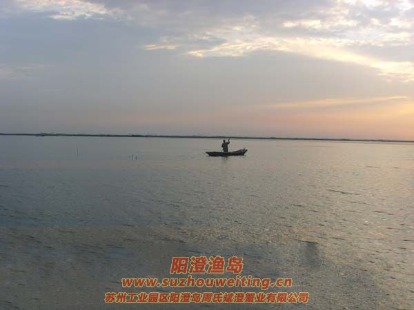 ���κ���æµ������ͼƬʮ��