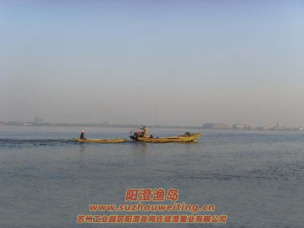 ���κ���æµ������ͼƬʮ��