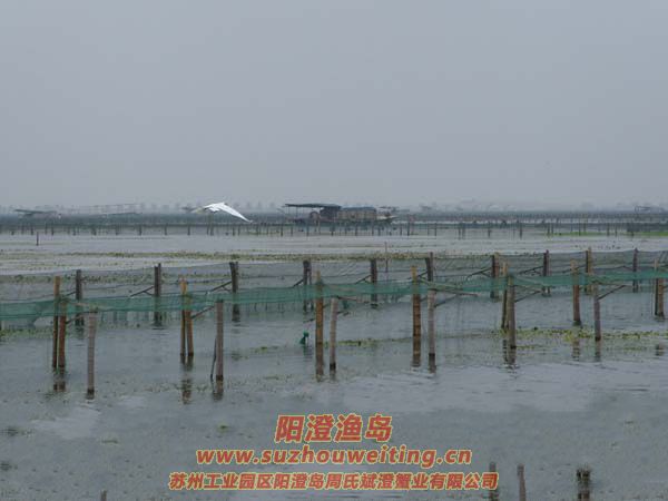 ����İ���ͼƬ��