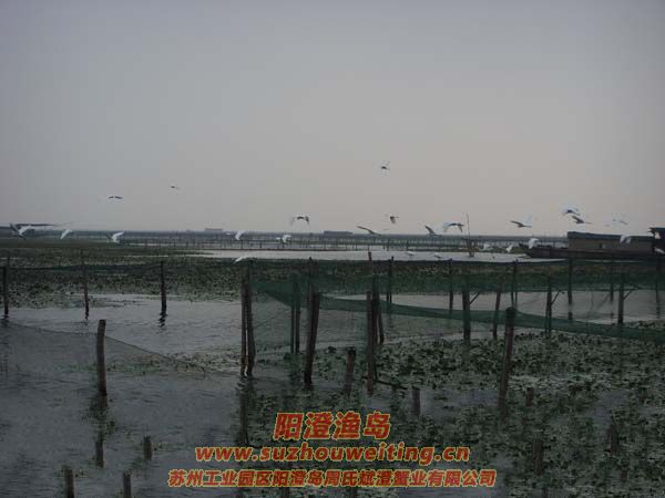 ����İ���ͼƬ��