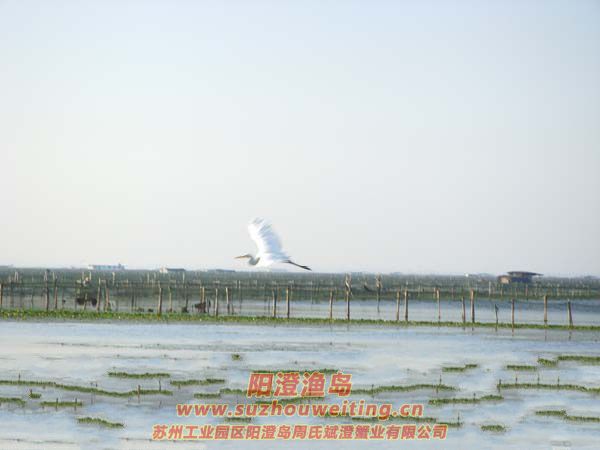 ����İ���ͼƬ��