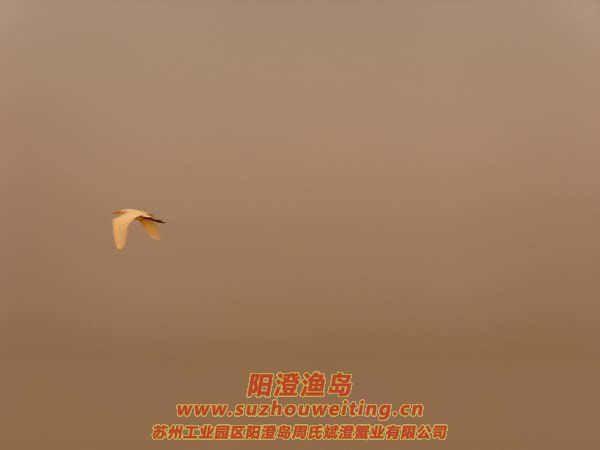 ����İ���ͼƬ��