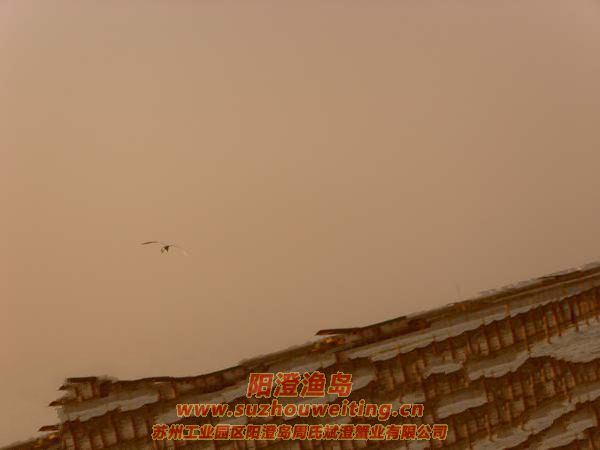 ����İ���ͼƬ��