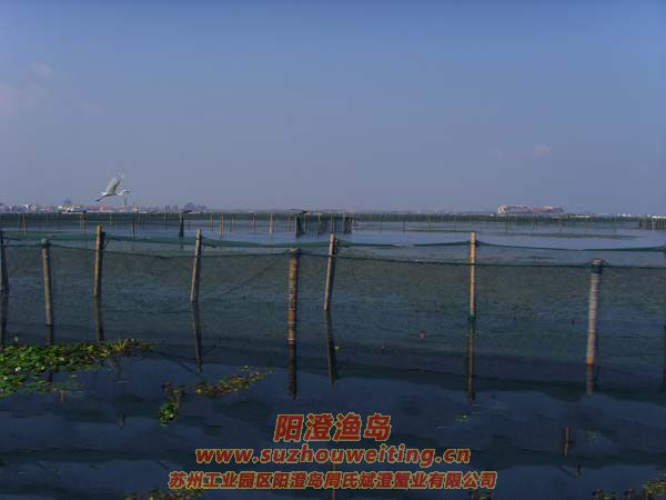 ����İ���ͼƬ��