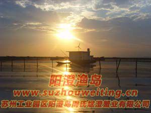 ���κ����糿ͼƬ��