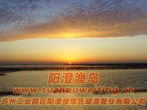 ���κ����糿ͼƬ��