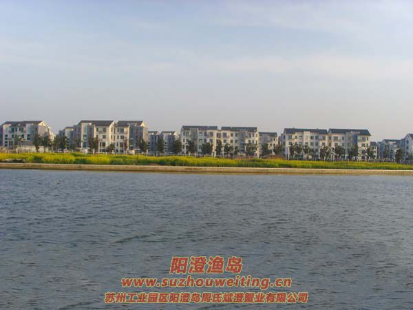 �����������κ�ͼƬ��