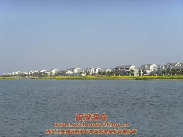 �����������κ�ͼƬ��