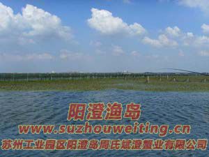 ��ˮ�������κ�ͼƬ��