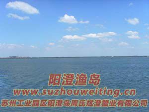 ��ˮ�������κ�ͼƬ��