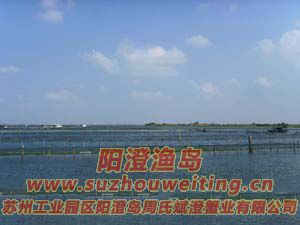 ��ˮ�������κ�ͼƬ��