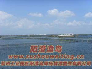 ��ˮ�������κ�ͼƬ��