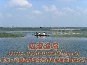 ��ˮ�������κ�ͼƬ��