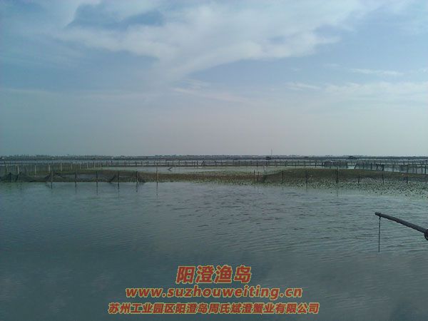 �����������κ�ͼƬ��