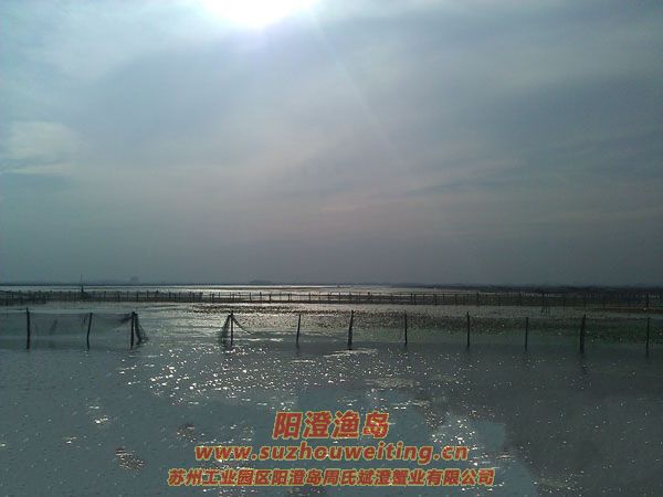 �����������κ�ͼƬһ