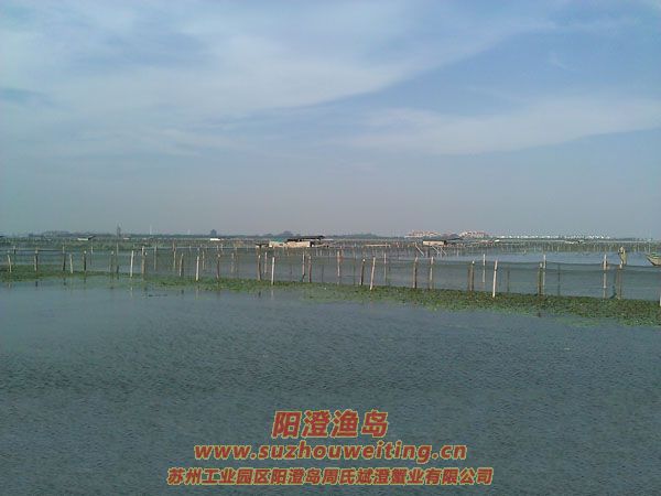 �����������κ�ͼƬ��