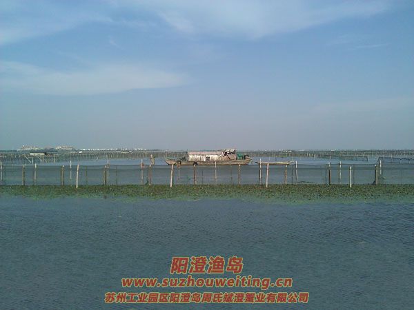 �����������κ�ͼƬ��