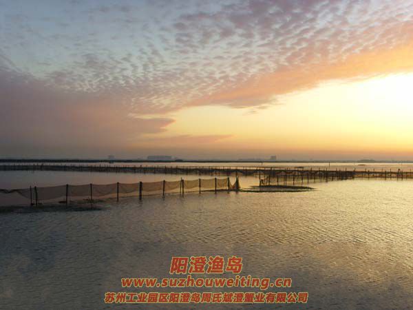 ���κ���բз��ҵ��ʵ��������